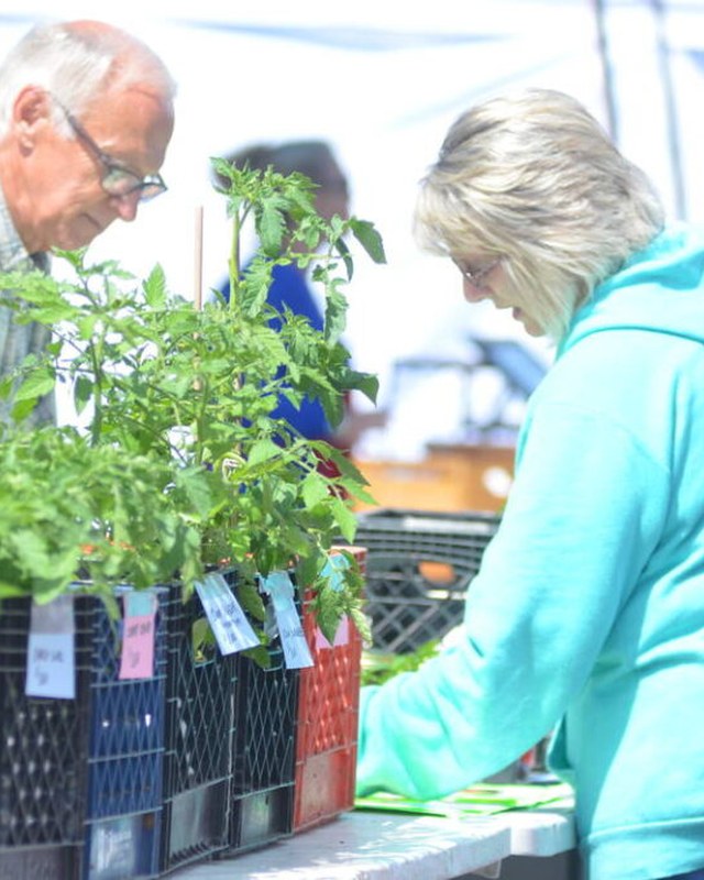 Image for Wapakoneta Farmers Market