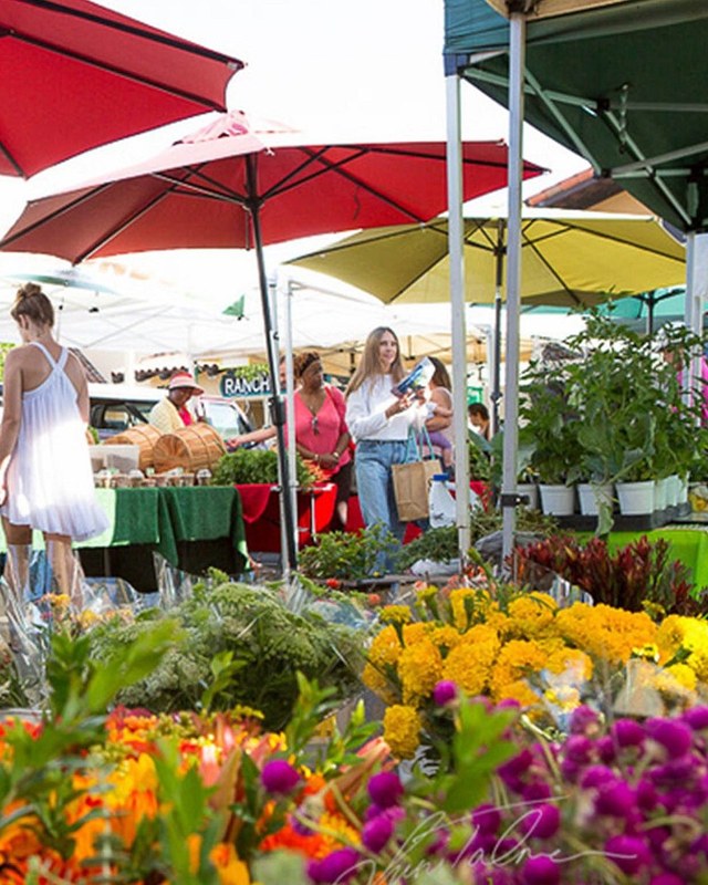 Image for Del Mar Farmers Market