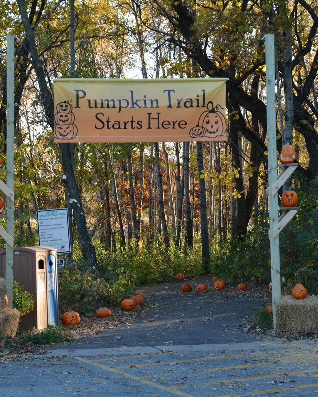 Image for Pumpkin Night in the Park
