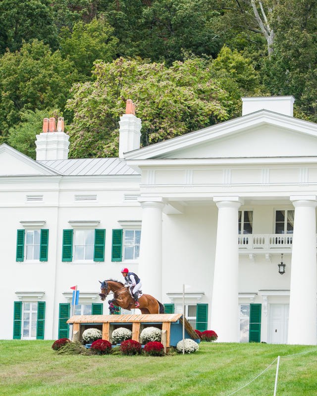 Image for Morven Park International