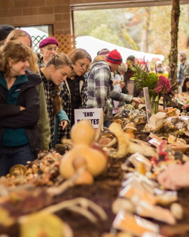 Image for Mount Pisgah Arboretum Mushroom Festival
