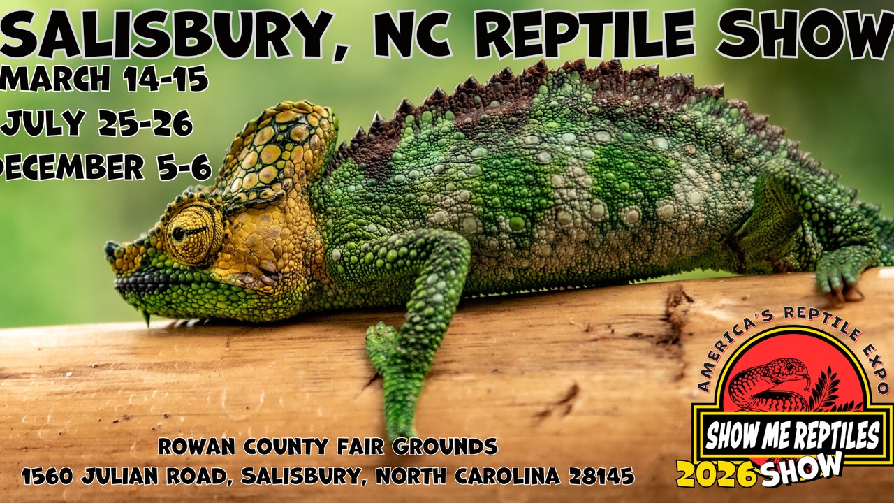 Image for Show Me Reptile Show