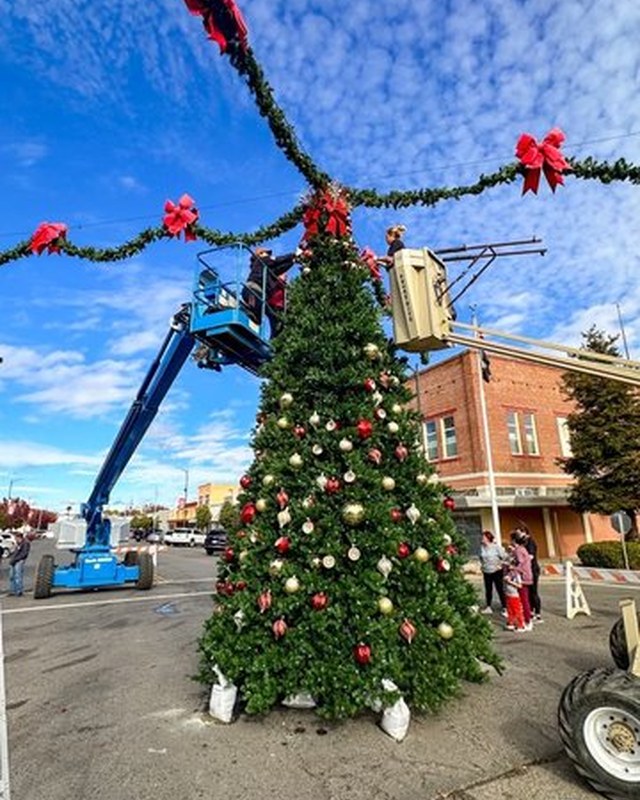 Image for Christmas Tree Lighting and Craft Fair