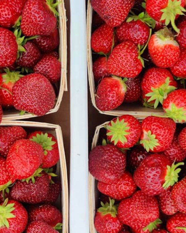 Image for Naugatuck Farmers' Market