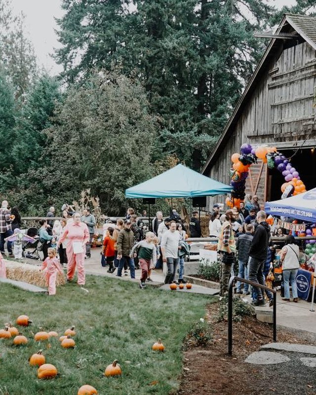 Image for Fall Harvest Festival 2026