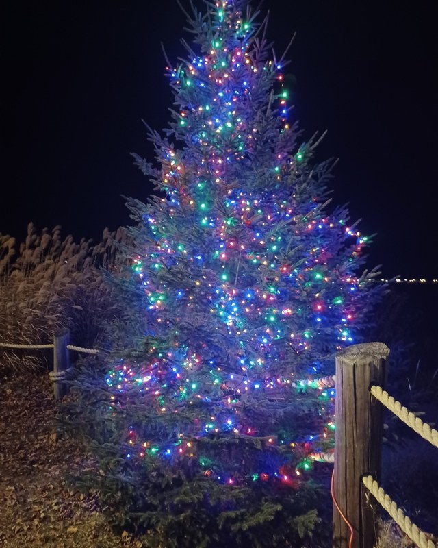Image for Christmas in the Village