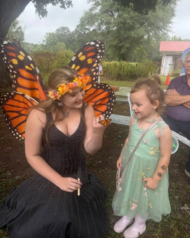Image for Flutter Festival