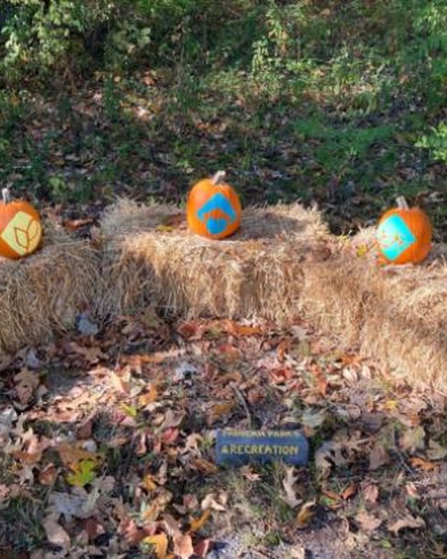 Image for Pumpkin Walk