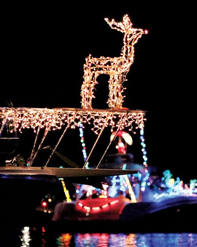 Brightly lit holiday boats with a glowing reindeer light display on the water at night during the Boat-A-Long.