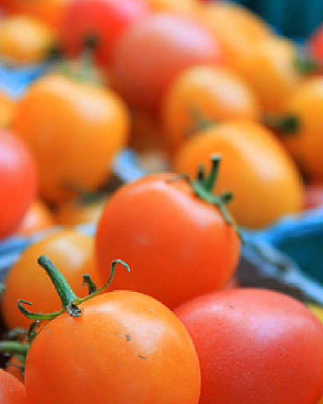 Image for Ashfield Farmers Market