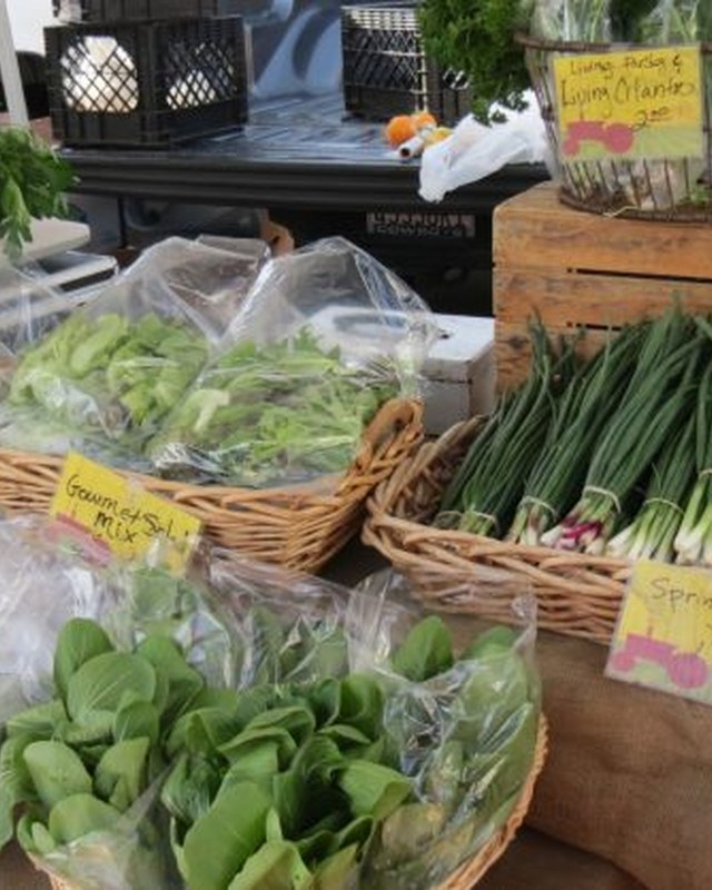 Image for Morro Bay Thursday Farmers' Market