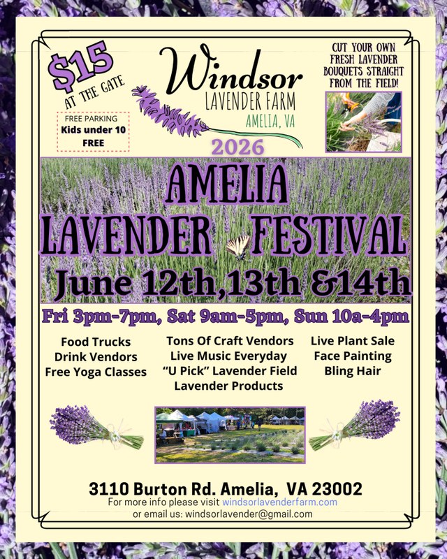 Image for Lavender Festival