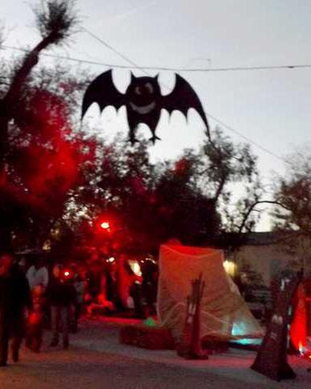 Image for Zoo Boo