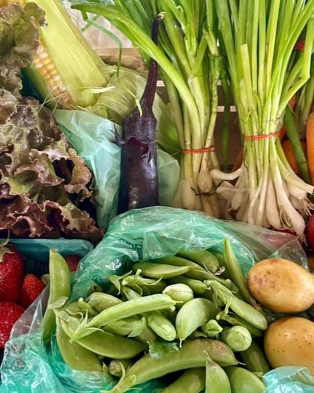 Image for Richfield Farmers Market