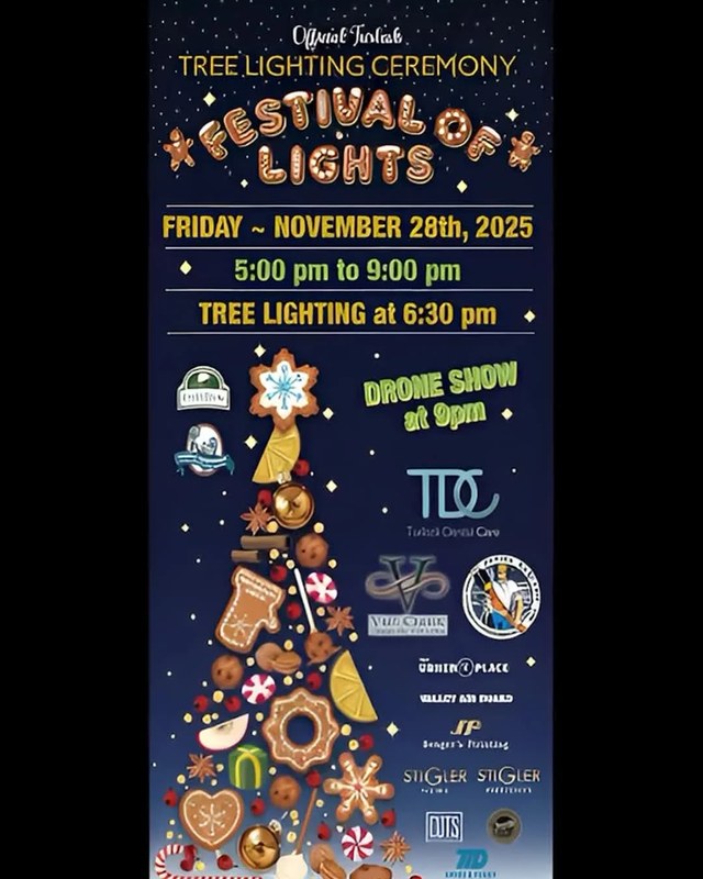 Image for Festival of Lights