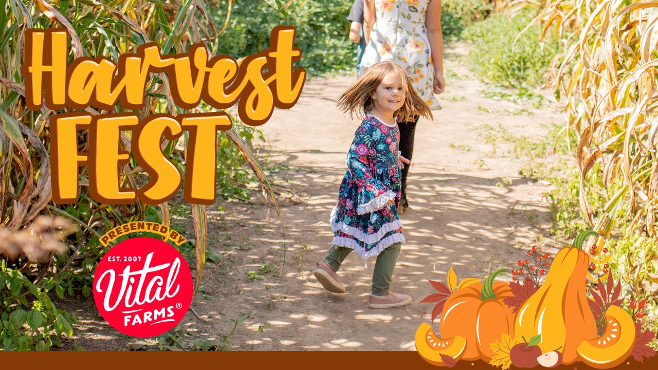 Image for Harvest Fest