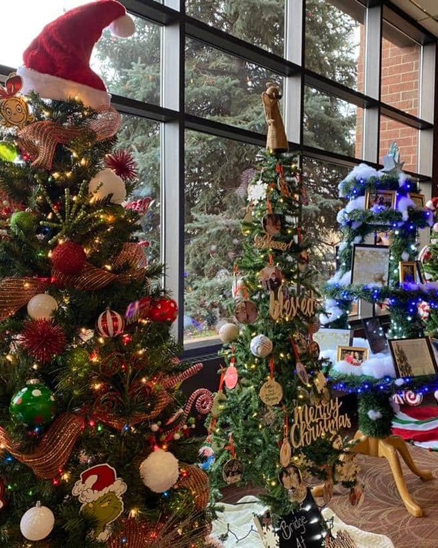 Decorated Christmas trees with ornaments and lights in the Union Colony Civic Center lobby, with a window wall behind.