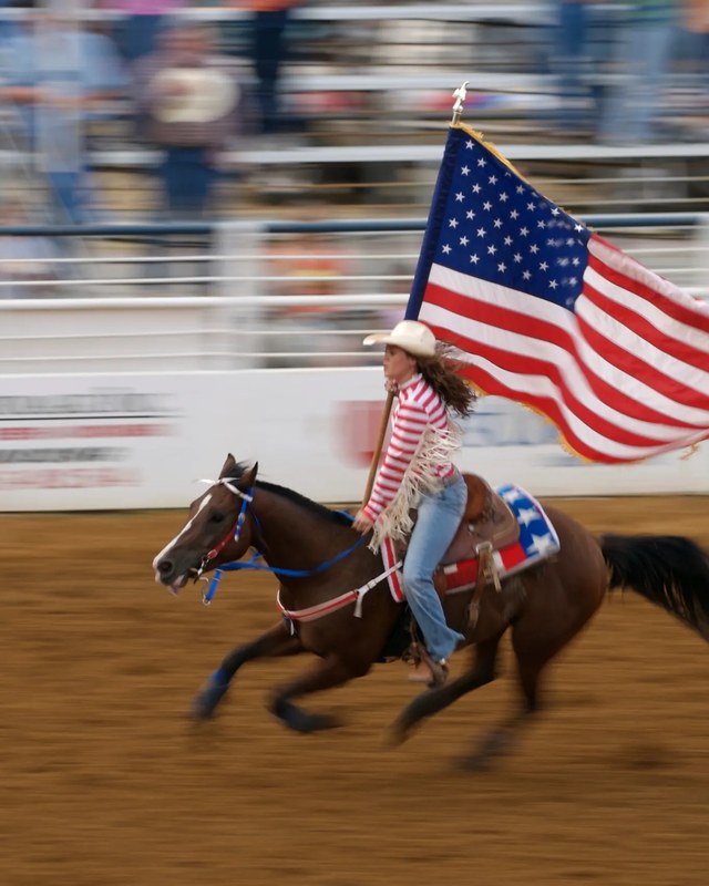 Image for Austin County Fair & Rodeo