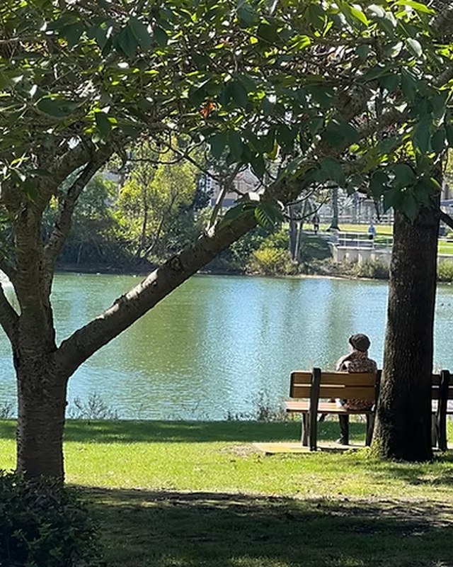 Image for ACAA Spring Art in the Park 2026 (12th Annual Art in the Park)