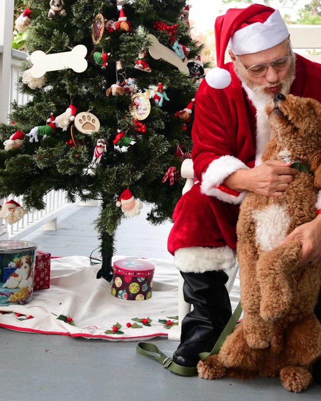 Image for Christmas Extravaganza Arts & Crafts Expo