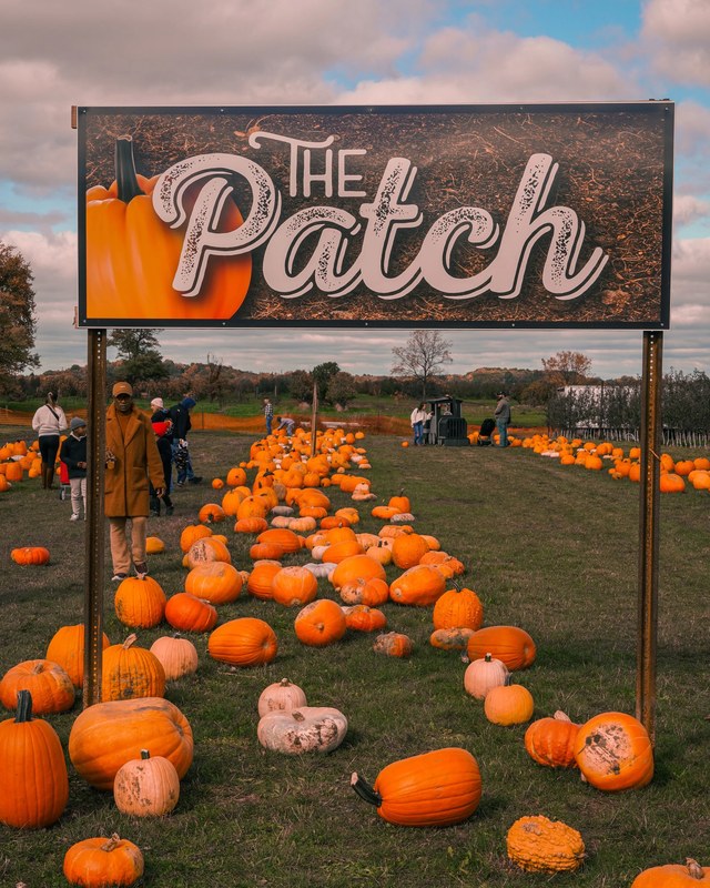 Image for Burnham Orchards Fall Festival