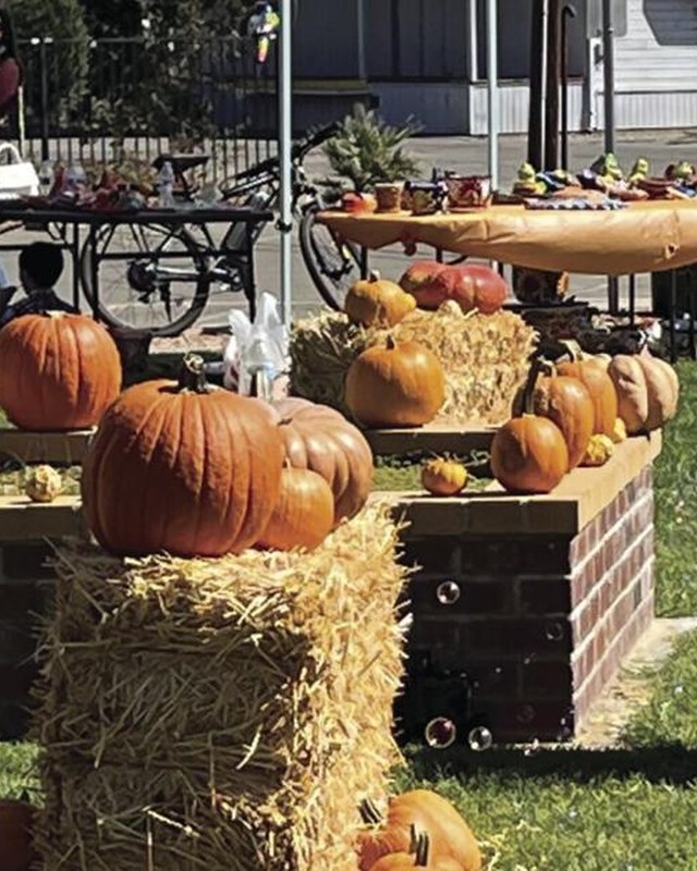 Image for Arbuckle Pumpkin Festival