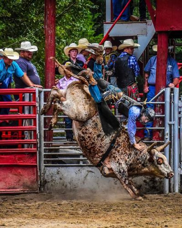 Image for Avery County Rodeo Showdown