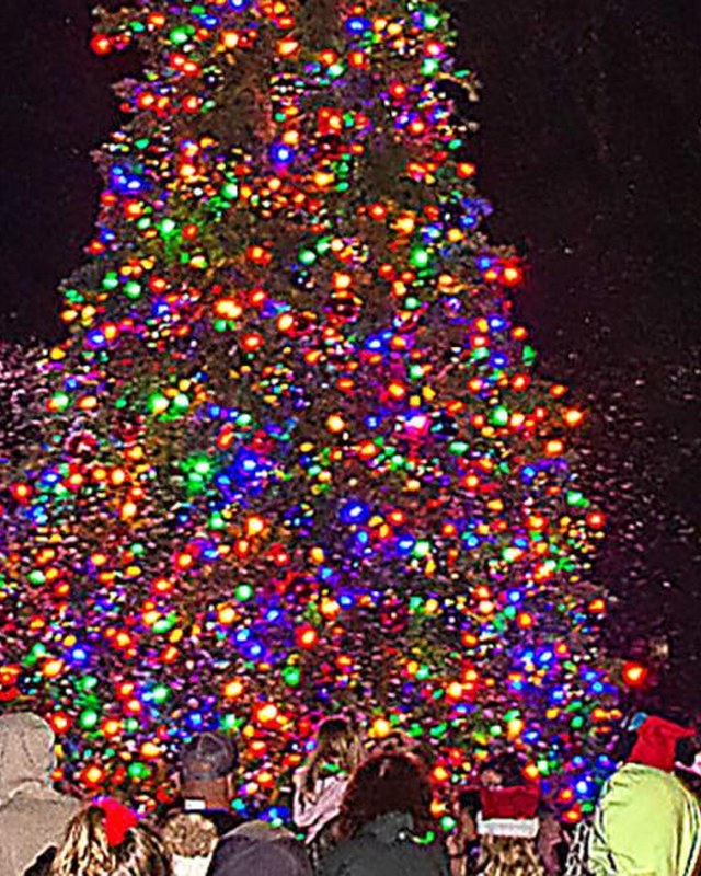 Image for Christmas Tree Lighting Festival