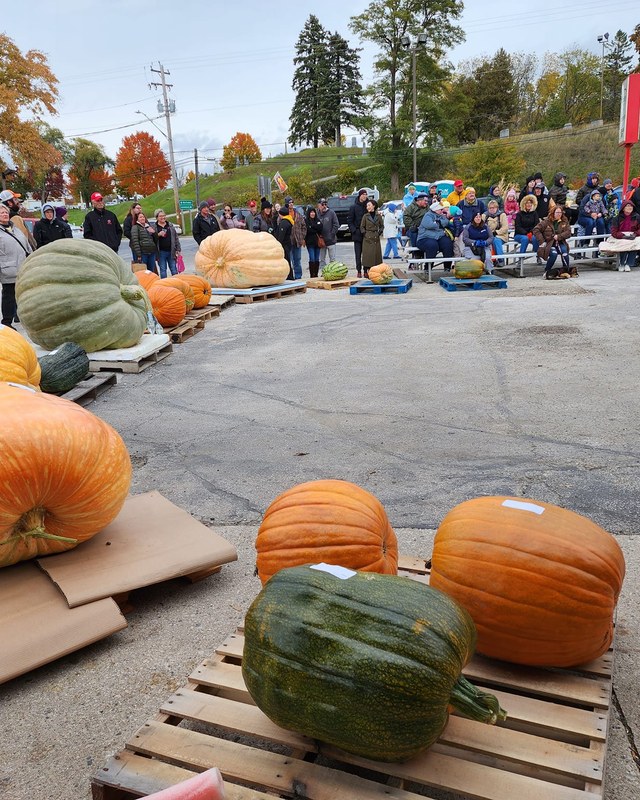 Image for Mishicot Pumpkinfest