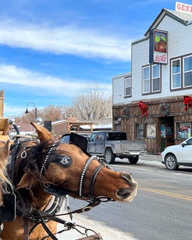 Image for Augusta Christmas Rendezvous 2026
