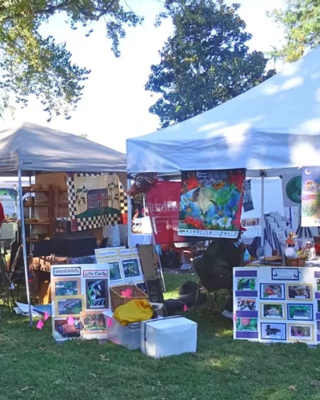 Craft vendor tents with paintings and displays on the grass at an outdoor fair.