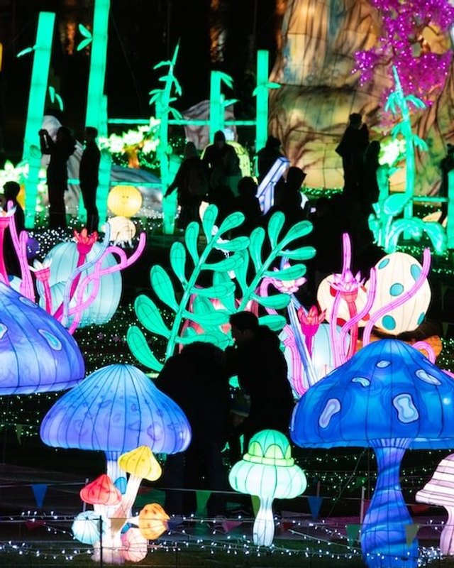 Colorful glowing mushroom and fairy lantern displays with visitors walking among them at night