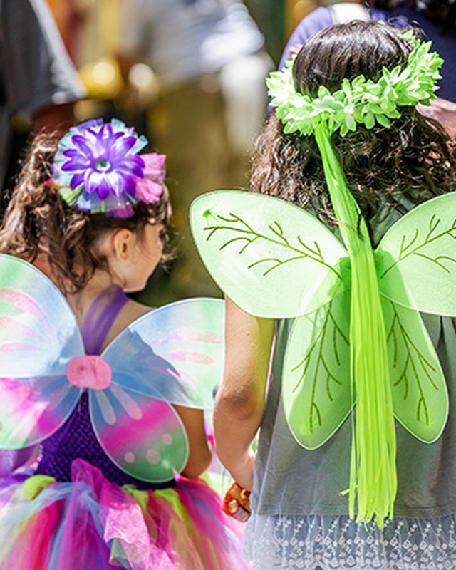 Image for 2026 May Day Faerie Festival (Green & Growing)