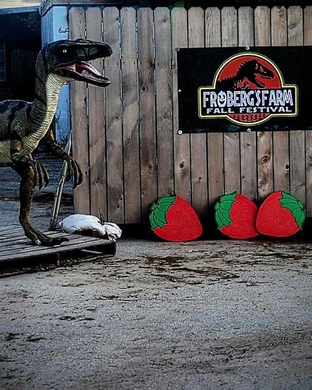 Life-size dinosaur beside a Froberg's Farm Fall Festival sign and strawberry decorations on a wooden wall.