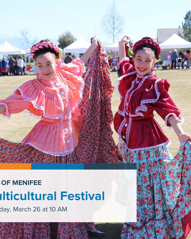 Image for Multicultural Festival