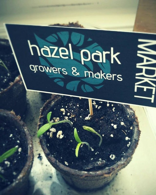 Hazel Park Growers & Makers Market sign stuck in soil pots of seedlings