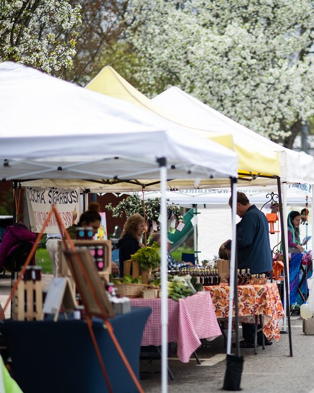 Outdoor farmers market with white tents and vendors serving customers along a street lined with blossoming trees.