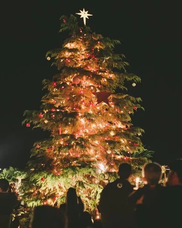 A lit Christmas tree with a star on top, with a crowd gathered in the dark below.