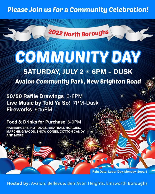 Image for North Boroughs Community Day