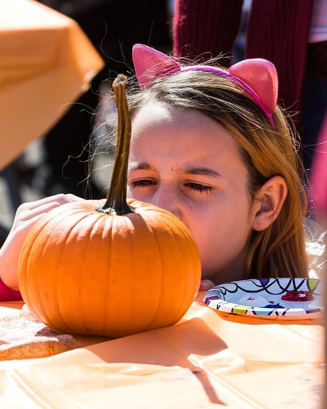 Image for Portland Fall Festival