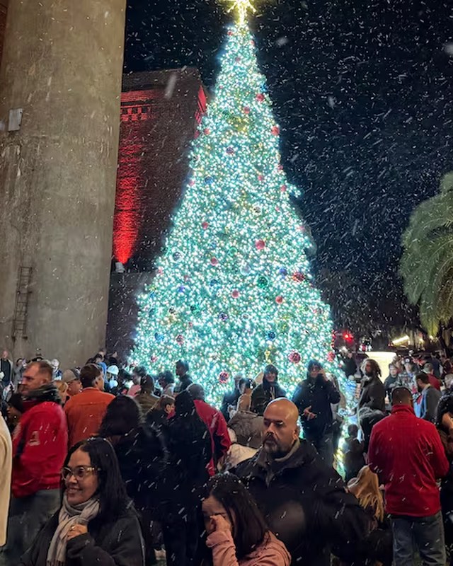 Image for Alma's Hometown Christmas