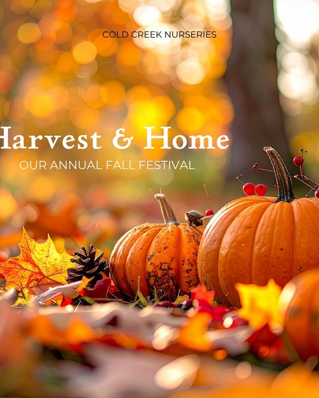 Image for Harvest & Home