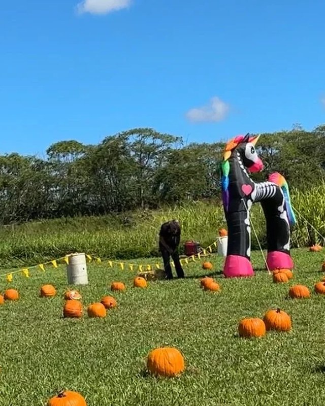 Image for Holoholoween Fall Fest & Pumpkin Patch