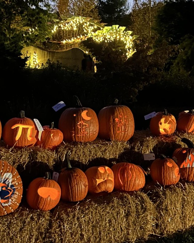 Image for Pumpkin Fest
