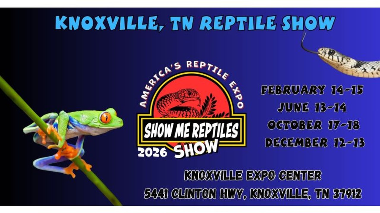 Image for Knoxville Tennessee Reptile Show