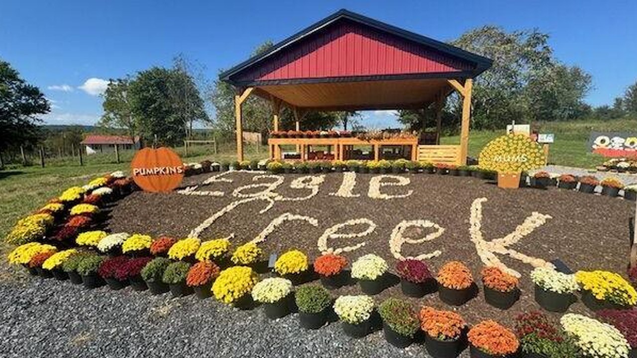 Image for Eagle Creek Fall Fest