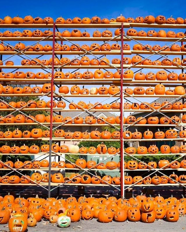 Image for The Great Highwood Pumpkin Festival