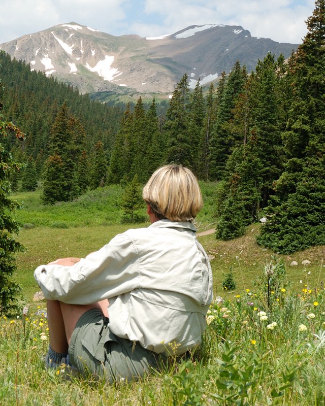 Image for Art Festival of Pagosa Springs