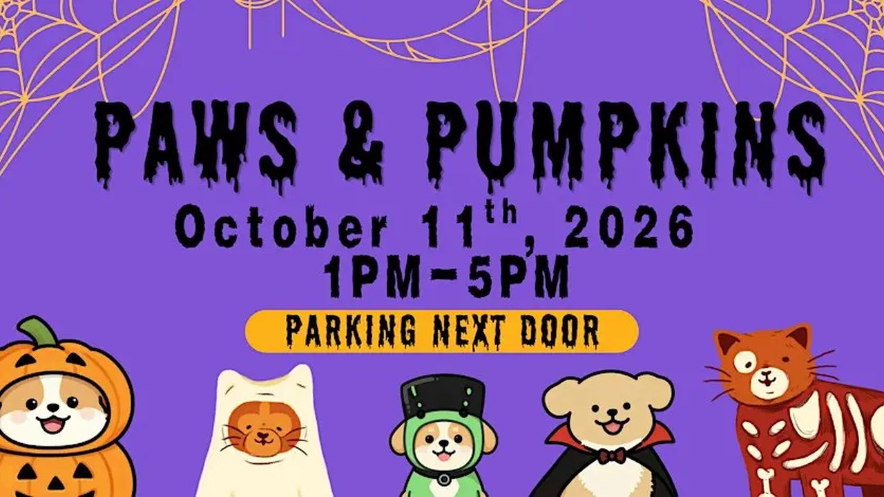 Image for Paws & Pumpkins