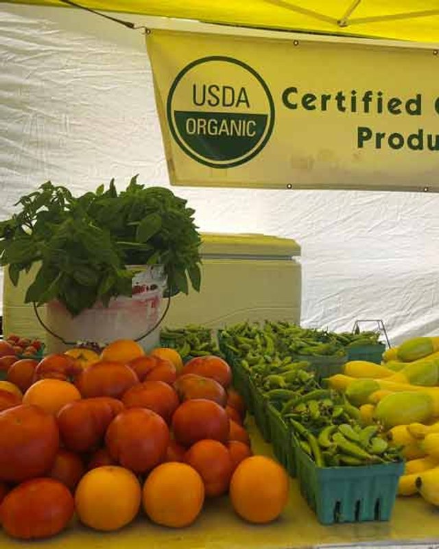 Certified organic produce display with tomatoes, peppers and squash under a USDA Organic banner at a market booth